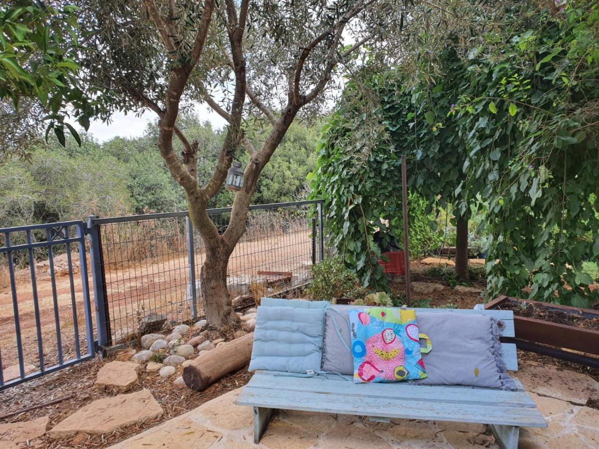 בקתת מטיילים Mitzpe Hila