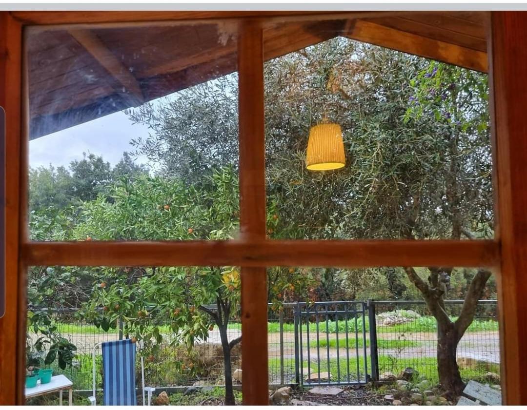 בקתת מטיילים *